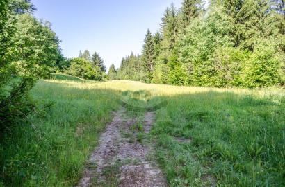 Land in the cottage, / 1590m2 /, Čadca - Raková