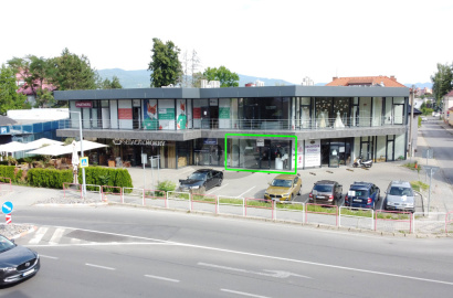 Business Object for rent, A.Hlinku, Staré Mesto, Prievidza