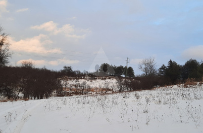 Land for sale, Pružina