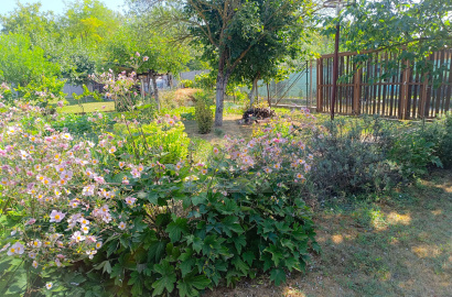 Sale of a sunny double garden with a cottage in Komárno
