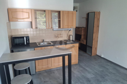 Bachelor flat for sale, Lúčna, Necpaly, Prievidza