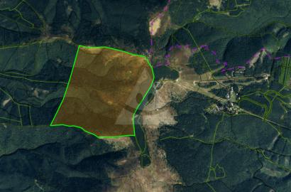 Investment land /70,000 m2/, cadastral area Stránske