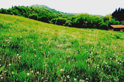 Your future home starts here – land for sale, Dlhá nad Oravou