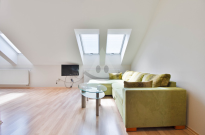 Large air-conditioned apartment with parking - SLIAČ KÚPELE