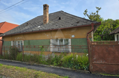 House for sale in nice village Bajtava