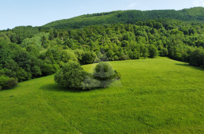 Investment recreational land / 2060 m2 / Terchová