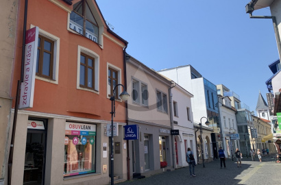 Office, commercial premises /108 m2/ Žilina - center