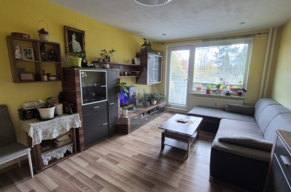 2-room flat for sale, Priekopa, Martin