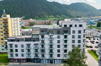 2 rooms apartment for rent, Bystrická cesta