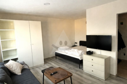 1-room flat for rent, Centrum, Martin