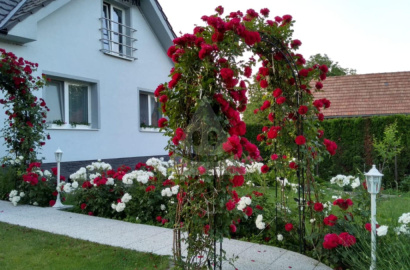 House for sale, Trebostovo