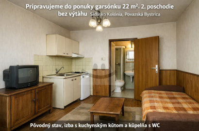 Bachelor flat for sale, Považská Bystrica