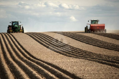 Arable land for sale in Nitra district