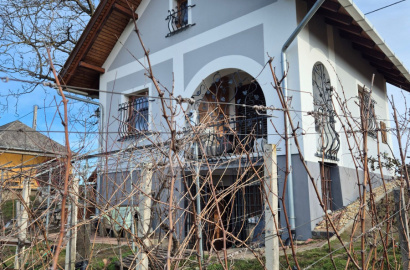 Complete wine estate with a holiday cottage in the village of Ete