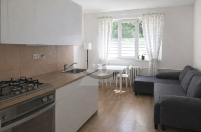 Rental of a renovated, fully furnished studio apartment – Martin Sever