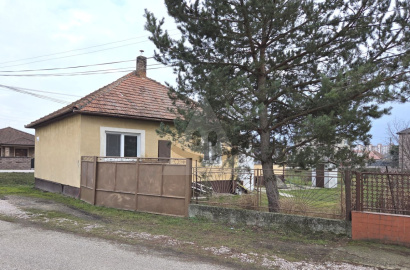 Family house with potential in a quiet part of Šurany – Kostolný Sek.