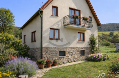 House in Raztocno for sale