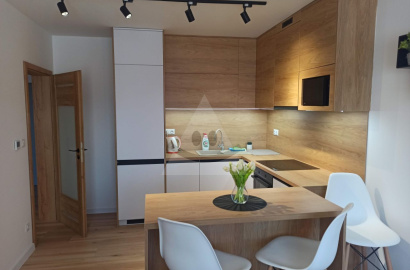 Mlynčeky 1-bedroom apartment for rent