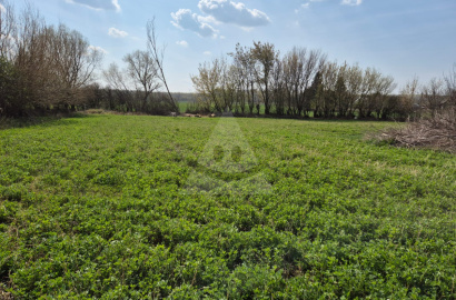 Building plot in a semi-secluded area in Kolárovo - Veľký Ostrov