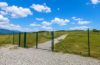 Land for rent, Martin