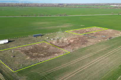 Land in the Čunovo cadastre for sale, Bratislava