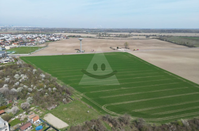 Arable land for sale, Jarovce, Bratislava V (7800 m2)