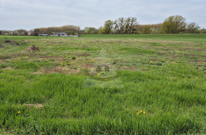 FOR SALE – Building plot Komoča - Right by the Váh River