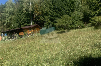 Recreational land for a mobile home, cottage / 847 m2 / Žilina - Závodie