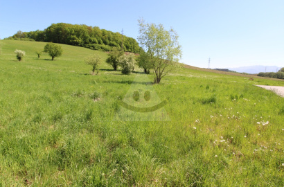 Building plot for sale /5464 m2/, Zilina - Brezany