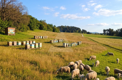 Sunny land for sale, Turčianske Jaseno