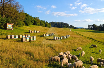 Sunny land for sale, Turčianske Jaseno