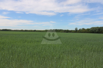 For sale arable land 6,474 m² in the Bajdelská lúka location, Podunajské Biskupice