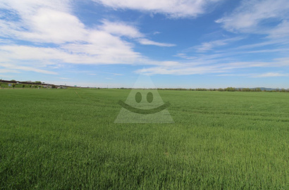 Arable land for sale, Jarovce, Bratislava V