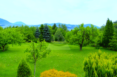 We are preparing to offer a recreational garden cottage with a land area of ​​333 m2 in Žilina - Mojšová Lúčka.