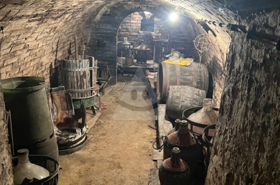 Wine cellar for sale in Bátorovy Kosihy