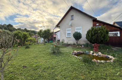 House for sale, Tužina
