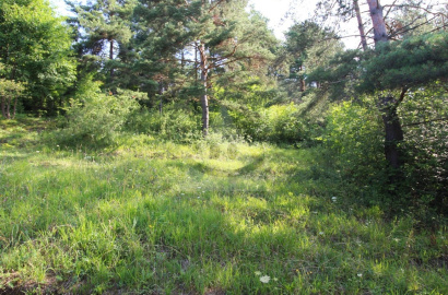 Recreational land /1472 m2/, Hlboké nad Váhom