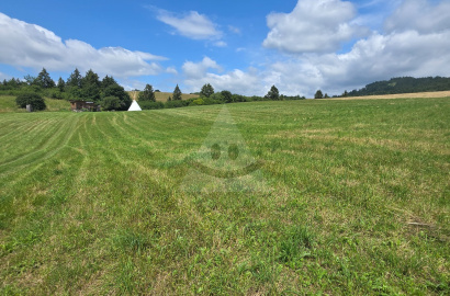 Meadow, pasture for rent Martin, Turčianske Jaseno