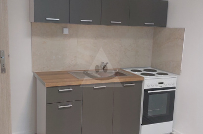 2-room flat for rent, Diviaky nad Nitricou