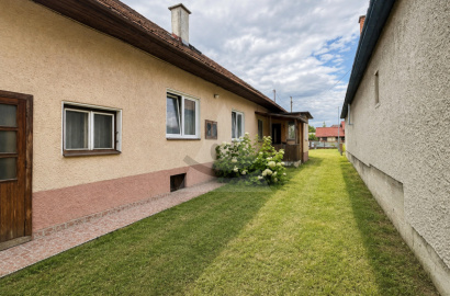 The house for sale