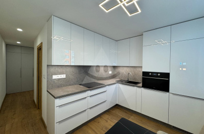 Completely and luxuriously renovated 2-room apartment for rent