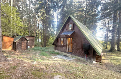 Cottage in a mountain area for sale, location Bystrička