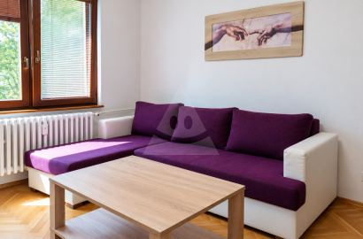 Big 1-room flat for rent, Sever., Martin