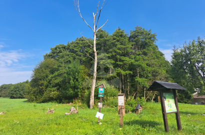 Recreational land for sale, Pavčina Lehota