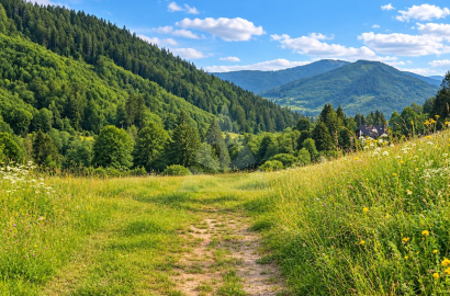 Lands for sale Slovensko