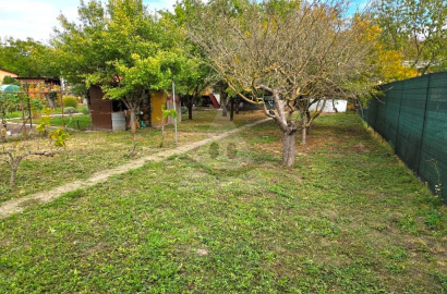 Garden with cottage for rent in Komárno