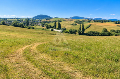 Meadow, pasture for sale Slovensko